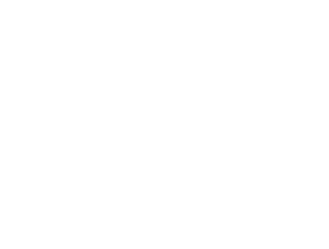 Plymouth Cheese Plymouth Cheese